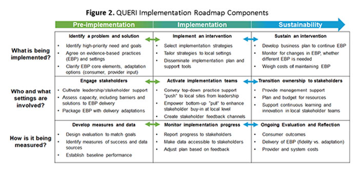 QUERI Implementation Roadmap Components
