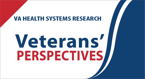 Veterans' Perspectives