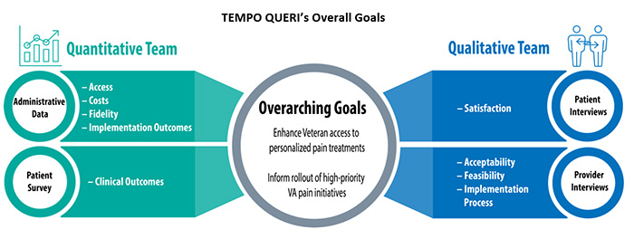 TEMPO QUERI's Overall Goals